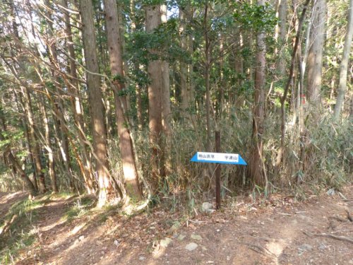 宇連山分岐 